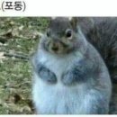 썬더