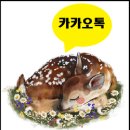 큰별1공인중개사사무소 이미지