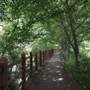 대청호오백리길 대청로하스길 이미지