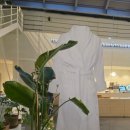 시청로 R 이미지