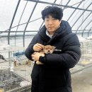 방이굴림만두 떼굴 이미지