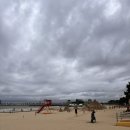 회성동새마을문고 | 포항 여행 가볼만한곳 영일대 해수욕장｜제10회 샌드페스티벌 모래조각부터 물놀이까지