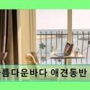 아름다운바다 펜션 모텔(애견동반) 이미지