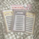 블랙스완래쉬 | [ 키보 ] 올리브영 노글루 속눈썹 키보 삐삐래쉬 신상 블랙스완 내돈내산 주문후기(블랙스완 + 크라운)