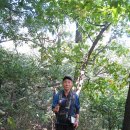 현암농장 | 금북정맥 제4구간(경부고속도로~덕고개)