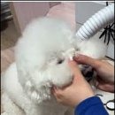 수도미용소 - 순천시 | 수도미용소