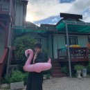 강나루하얀집 이미지