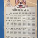 지아 애견샵 | 거제도 옥포 애견 미용 놀이터 호텔 지아네 멍멍 애견샵