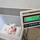 펫츠아일랜드 수월점 이미지