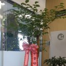 남면농협상수지점 이미지