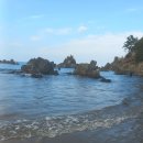 동해 추암 촛대바위 출렁다리 삼척 초곡 촛대바위 덕봉산 둘례길 맹방해수욕장 8.26 이미지