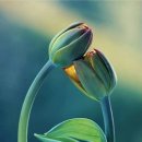 비콘힐스 골프클럽 이미지