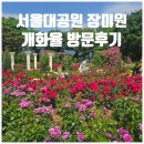 장미원내부 화장실 | 2026 서울대공원 장미원 아기랑 방문후기 5월 25일 개화율 주차 장미축제