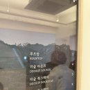 스테이더숲