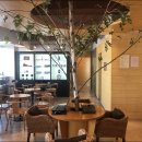 톡톡구강내과치과의원 이미지