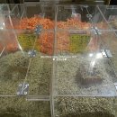 마산건어물마트 이미지