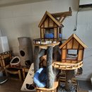 동물보육원 이미지