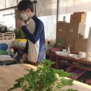 개정꽃농원 이미지