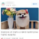 마실오개 네이버블로그