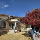 에코키즈스테이 이미지