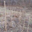 신구농장 이미지