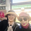 오늘은 11주년 정모 하는 날! 이미지