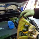 장일카센타 이미지