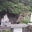 지성재활요양병원 이미지