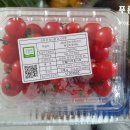 솔바우영농조합법인 이미지