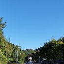 삼우 카 프라자 이미지