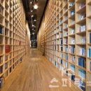 지혜의 숲 이미지