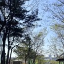 보라도서관매점 이미지