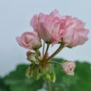 송*석 이미지