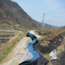 방초농장 이미지