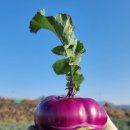 어음1리경로당 이미지