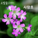 인심