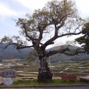 덕곡마을 이미지