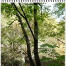 금강(부산) 이미지