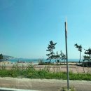 옥스펜션나 네이버블로그