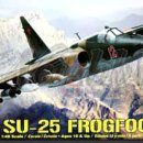 [rebell] 1/48 Su-25 Frogfoot 이미지