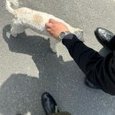 지족 죽방렴홍보관 | 남해여행 후기 上 (만약에 우리 코스 : 지족반점, 죽방렴, 보물섬전동바이크투어, 초록스토어)