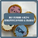 댕냥밥상 | [리뷰] 울산 반려동물 수제간식 원데이클래스 후기❤️ | 문해담펫푸드아카데미 &amp; 댕냥밥상