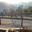 365일카센타 이미지