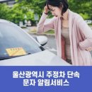 주정차22 이미지