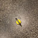 스포짐 한남 | [용산구 한남동 헬스,피티]한남오거리 주차 가능한 헬스장 스포짐 한남 PT,필라테스 후기