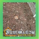 전원주택 조경 관리 전기줄 걸린 나무 벌목업체