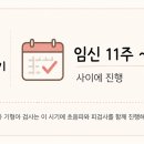 아는만큼 보이는 부동산 | 아는만큼 보이는 11주 1차 기형아 검사 후기