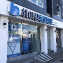 헤아림 동물병원 | 동래 헤아림동물병원 고양이 건강검진 솔직후기