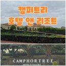 제주공항에서 20분 캠퍼트리 호텔 앤 리조트 숙박 후기
