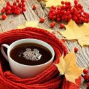 트럼펫연주 이미지